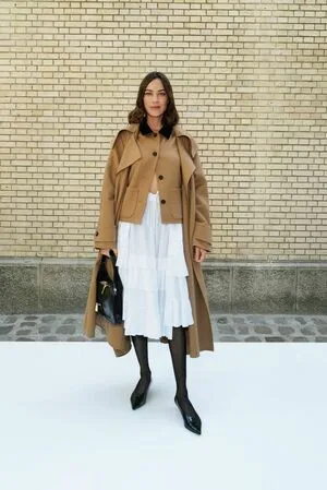 Alexa Chung OnlyFans Leaked Free Thumbnail Picture - #CReWXTZxe1