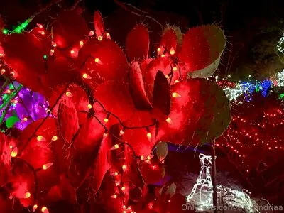 Alexandriaa OnlyFans Leaked Free Thumbnail Picture - #CNS97KDhtQ