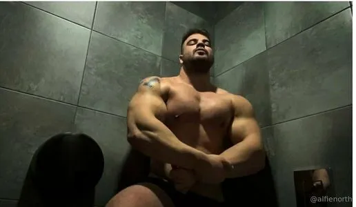 Alfienorthfree OnlyFans Leaked Free Thumbnail Picture - #XTSqdUe6sF