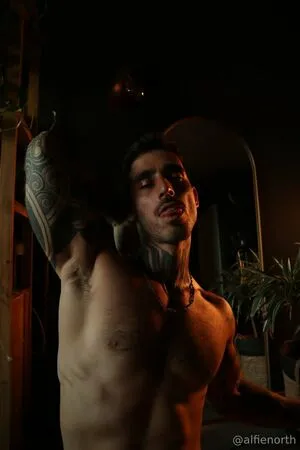 Alfienorthfree OnlyFans Leaked Free Thumbnail Picture - #ZvVpNE1BD7
