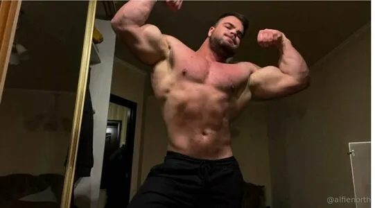 Alfienorthfree OnlyFans Leaked Free Thumbnail Picture - #sQxsPx2Q72