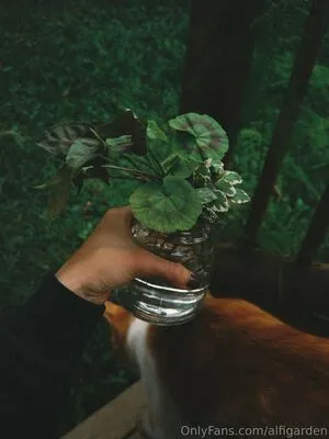 Alfigarden OnlyFans Leaked Free Thumbnail Picture - #Y5SGLdfA19