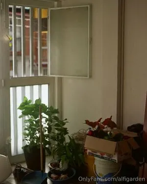 Alfigarden OnlyFans Leaked Free Thumbnail Picture - #sXKiBakKru