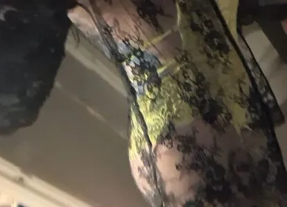 Algorithmsayshi OnlyFans Leaked Free Thumbnail Picture - #6YLXWxTWmW