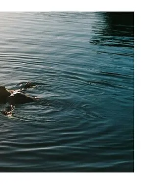 Aliana King OnlyFans Leaked Free Thumbnail Picture - #Zcr8Ehmk39