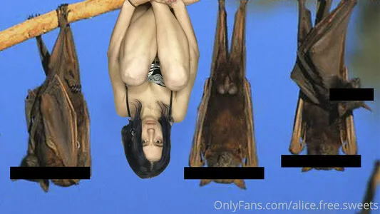 Alice Free Sweets OnlyFans Leaked Free Thumbnail Picture - #Ur68LfWQrJ