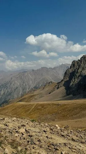 Alice Li OnlyFans Leaked Free Thumbnail Picture - #d4cICFsTdg