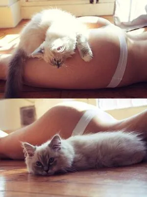 alice_with_cats OnlyFans Leaked Free Thumbnail Picture - #wn3CWm3vB7