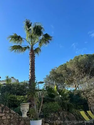 Alicee Kisss OnlyFans Leaked Free Thumbnail Picture - #F4nWNxYxZa