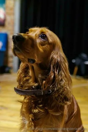 Aliceinwonderland Xo OnlyFans Leaked Free Thumbnail Picture - #BTD77nIu6c