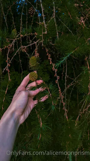 Alicemoonprism OnlyFans Leaked Free Thumbnail Picture - #yNOtPFHwIj