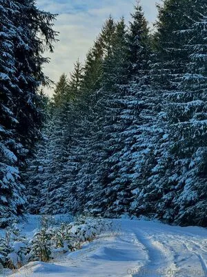 Aliggg OnlyFans Leaked Free Thumbnail Picture - #RFJVmPLElf