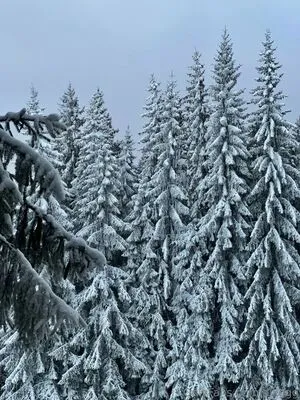 Aliggg OnlyFans Leaked Free Thumbnail Picture - #sw4xVyUr47