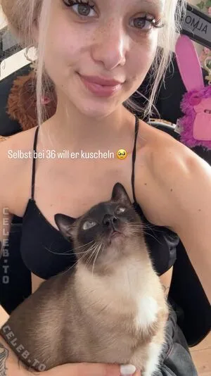 Almostfeline OnlyFans Leaked Free Thumbnail Picture - #V7di6QjklE