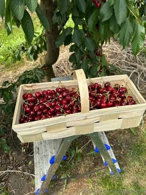 Alpswander OnlyFans Leaked Free Thumbnail Picture - #GQpgeRola9