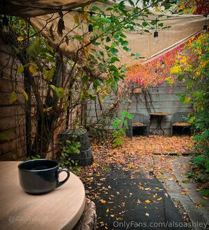 AlsoAshley OnlyFans Leaked Free Thumbnail Picture - #8x366ys5sX