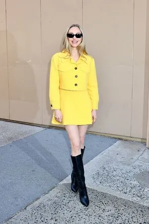 Amanda Seyfried OnlyFans Leaked Free Thumbnail Picture - #B8jHCJl6xI