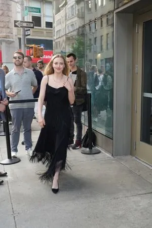 Amanda Seyfried OnlyFans Leaked Free Thumbnail Picture - #PBXjWl5Rvp