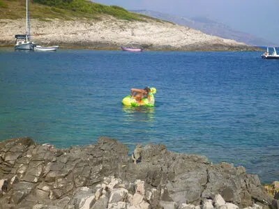 Amateur Voyeur OnlyFans Leaked Free Thumbnail Picture - #JqJxZBTW2c