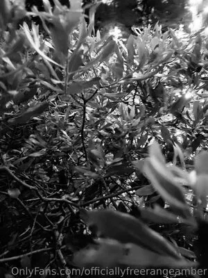 Amber Smith OnlyFans Leaked Free Thumbnail Picture - #pri3Umwcda