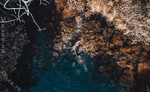 Amberleigh West OnlyFans Leaked Free Thumbnail Picture - #GozJjmmtnY