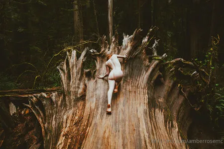 amberrosemc OnlyFans Leaked Free Thumbnail Picture - #iyMRWA2FuK