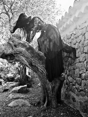 Amelia Gray Hamlin OnlyFans Leaked Free Thumbnail Picture - #7xLh4sGtNO