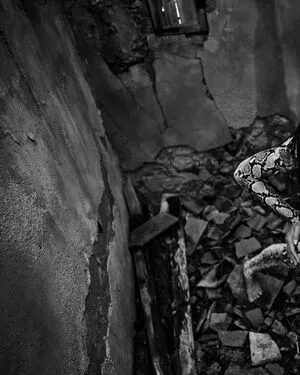 Amelia Gray Hamlin OnlyFans Leaked Free Thumbnail Picture - #GGKvTfVQgH