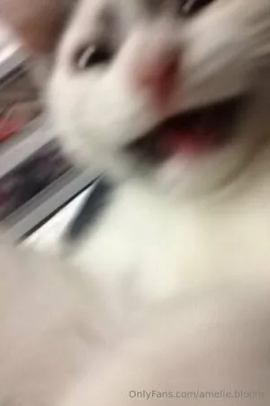 Amelie Bloom OnlyFans Leaked Free Thumbnail Picture - #b40DYUIPqY
