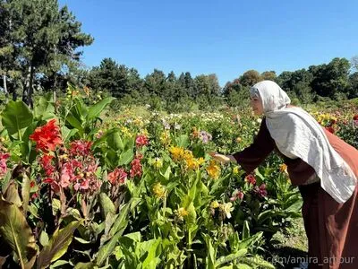 Amira Amour OnlyFans Leaked Free Thumbnail Picture - #ZXYGcg1xiy