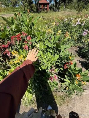 Amira Amour OnlyFans Leaked Free Thumbnail Picture - #vt40soTqOw