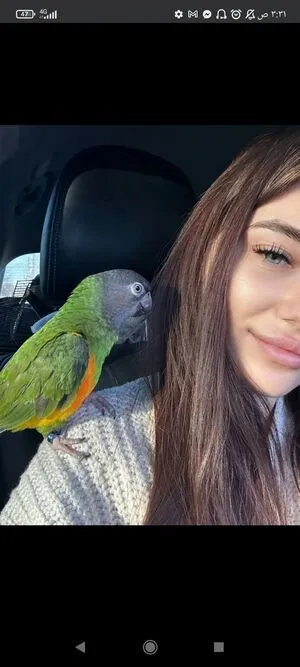 Amorekiwik OnlyFans Leaked Free Thumbnail Picture - #zFxWBepF52