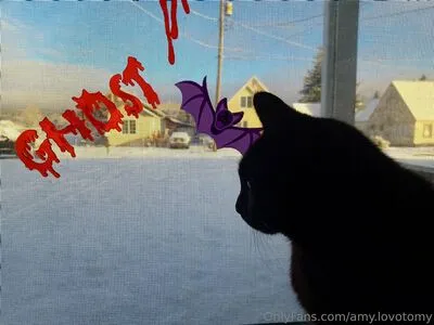 Amy Lovotomy OnlyFans Leaked Free Thumbnail Picture - #WCad6lcEwD