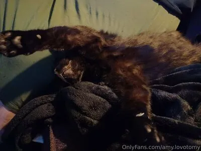 Amy Lovotomy OnlyFans Leaked Free Thumbnail Picture - #YEK9CQZWdD