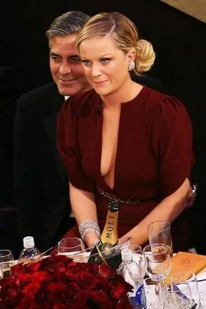 Amy Poehler OnlyFans Leaked Free Thumbnail Picture - #QECtNpFwrl