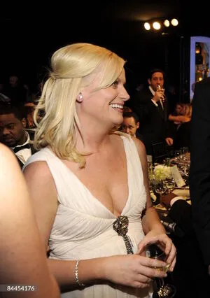 Amy Poehler OnlyFans Leaked Free Thumbnail Picture - #UgbQzld1o9