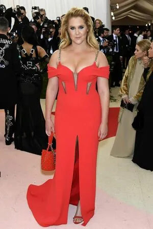Amy Schumer OnlyFans Leaked Free Thumbnail Picture - #6swk8Oz379