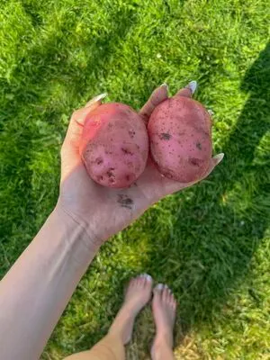 Amylouisev OnlyFans Leaked Free Thumbnail Picture - #2UkYc8vJIn