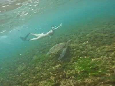 Ana Carolina Madeira OnlyFans Leaked Free Thumbnail Picture - #7FLnJK0kYV