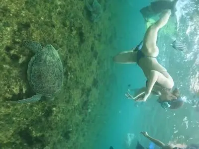 Ana Carolina Madeira OnlyFans Leaked Free Thumbnail Picture - #CcudQ0mGHk