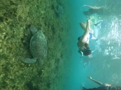 Ana Carolina Madeira OnlyFans Leaked Free Thumbnail Picture - #MPLC19bPwV