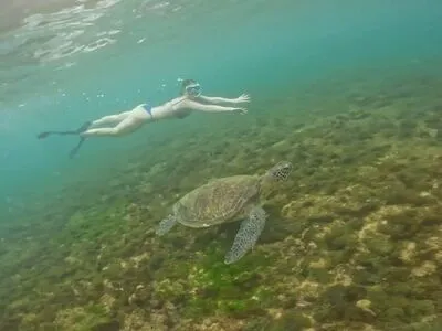 Ana Carolina Madeira OnlyFans Leaked Free Thumbnail Picture - #txHsXYIrUc