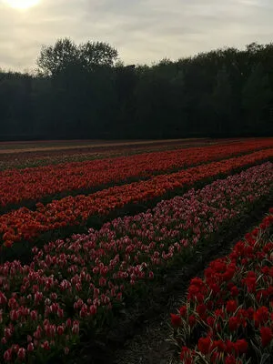 Ana Lago OnlyFans Leaked Free Thumbnail Picture - #9bZrjncbD5