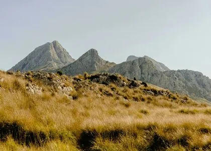 Anacarol Serra OnlyFans Leaked Free Thumbnail Picture - #PpWVXb0MuL