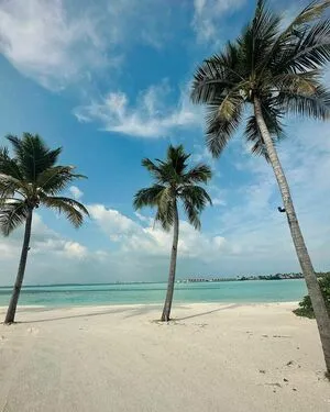 Anca Bellu OnlyFans Leaked Free Thumbnail Picture - #DtmbAdzraH