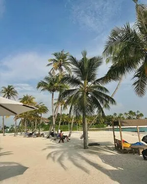 Anca Bellu OnlyFans Leaked Free Thumbnail Picture - #J1pRibEbnn