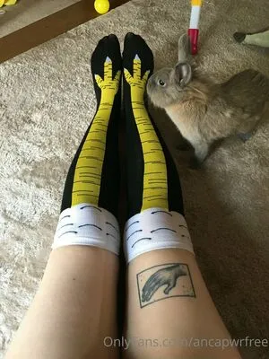 Ancapwrfree OnlyFans Leaked Free Thumbnail Picture - #pFawKiO6Fw