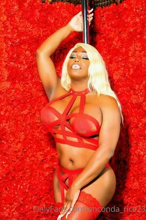 Anconda Rice23 OnlyFans Leaked Free Thumbnail Picture - #83xtbuJjVT