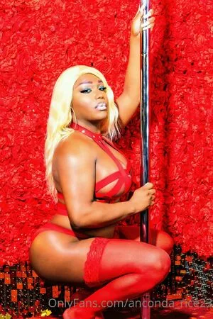 Anconda Rice23 OnlyFans Leaked Free Thumbnail Picture - #8PbAWx3KgA