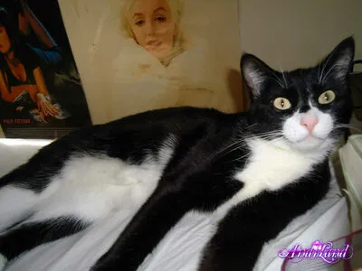 Andi Land OnlyFans Leaked Free Thumbnail Picture - #1obbjDkINP